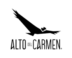 Partner logo 5
